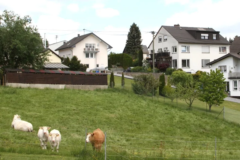 Mehrfamilienhaus in Linz am Rhein St. Katharinen